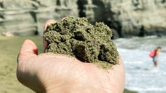 green sand carbon