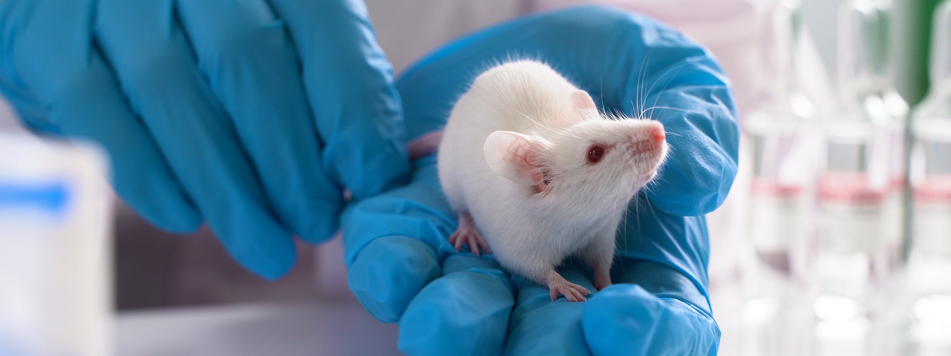 Editing one gene extends mouse life expectancy by 23
