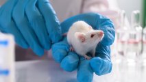 gene editing life expectancy