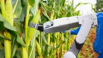 smart farm