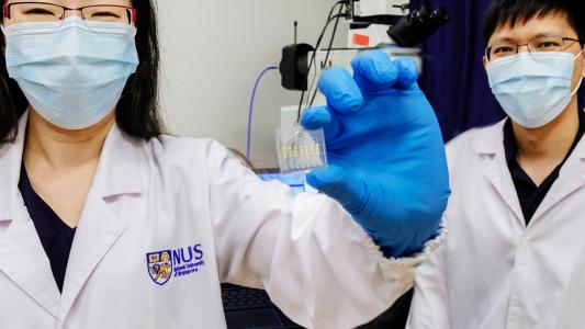 targeted cancer therapy