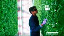 vertical farming