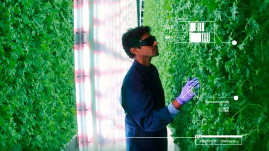 vertical farming