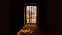 solitary gardens