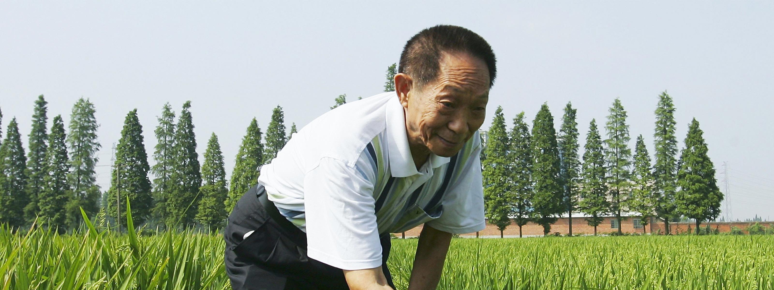 Yuan Longping's Rice Helped Feed the World