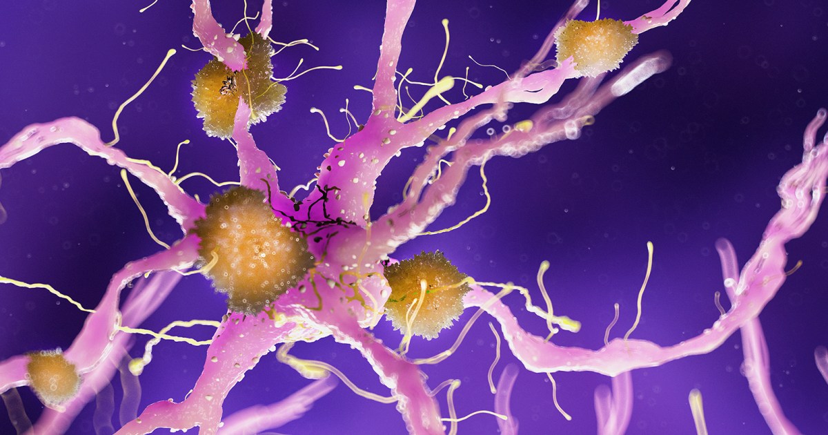 Contraindications & When to Consult a Doctor