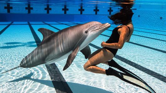 Robotic dolphin