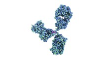 norovirus vaccine