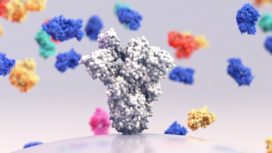 antibody cocktail