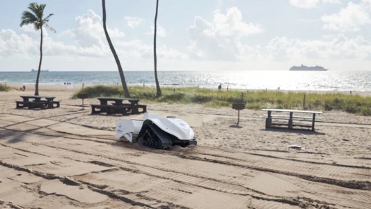 beach cleaning