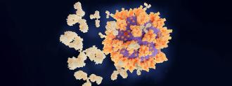all strains of covid-19