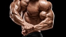 building muscle