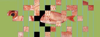 gene-edited fish