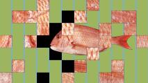 gene-edited fish
