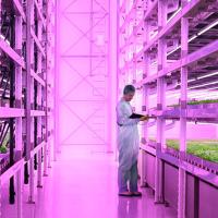 Vertical Farming