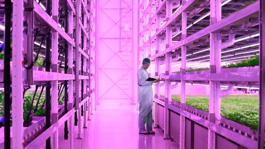Vertical Farming