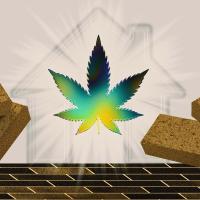 homes made from hemp