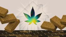 homes made from hemp