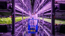Vertical Farm