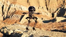 walking robot