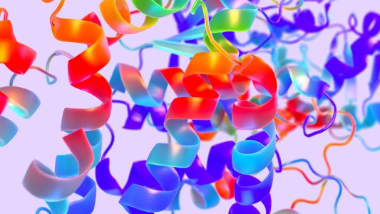 drug discovery