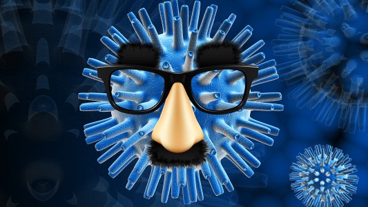 herpesvirus