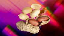 peanut allergy