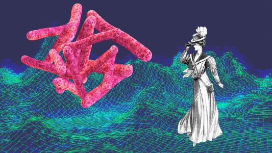 tuberculosis