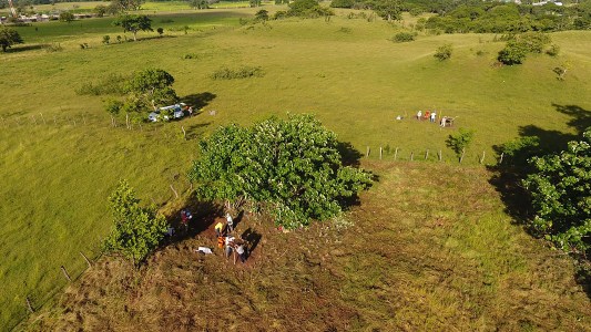 lidar data