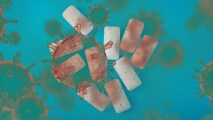 chewing gum reduce the spread of COVID-19