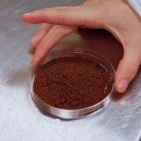 sustainable coffee