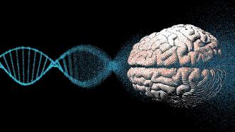 dravet syndrome treatment