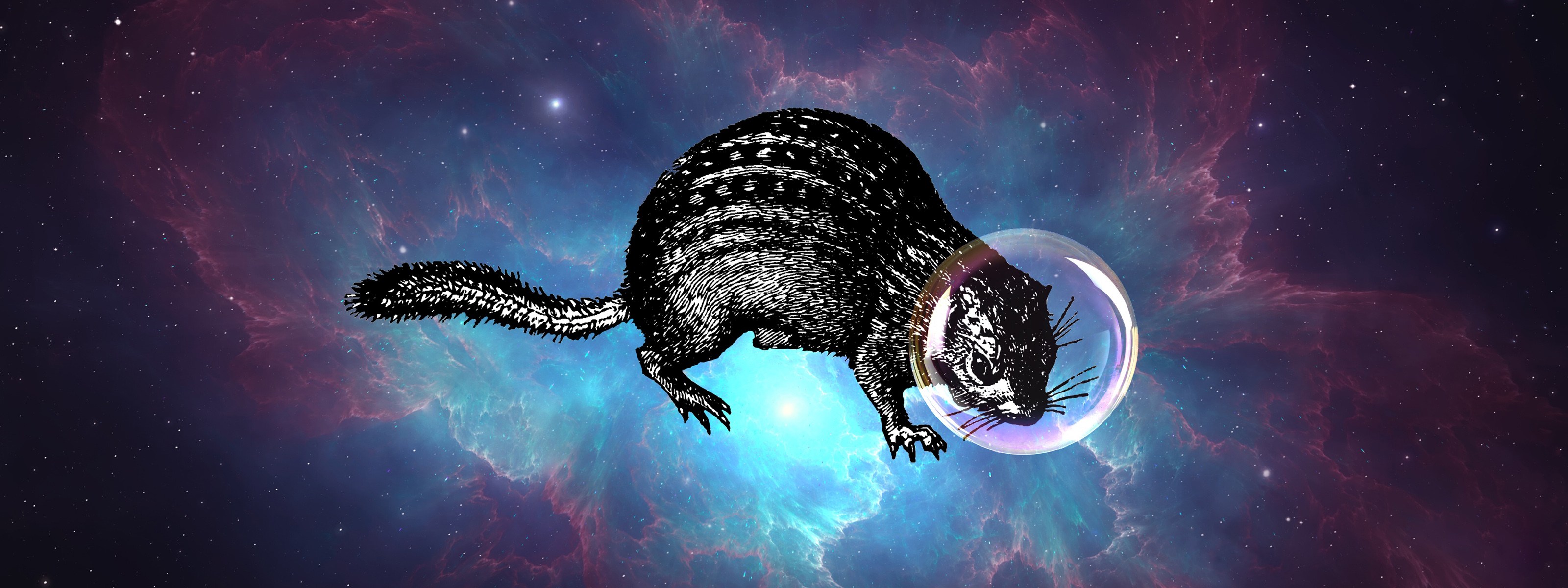 Hibernating squirrels hint at secret to surviving space travel