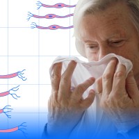 sense of smell