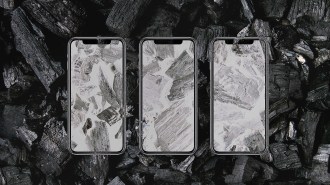 rare earth elements