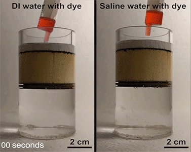 solar desalination