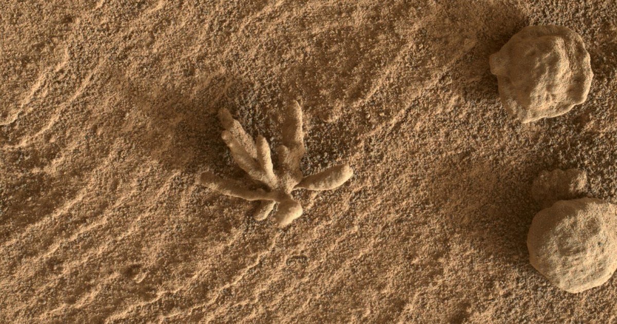 Curiosity scopre una roccia “Venere” su Marte