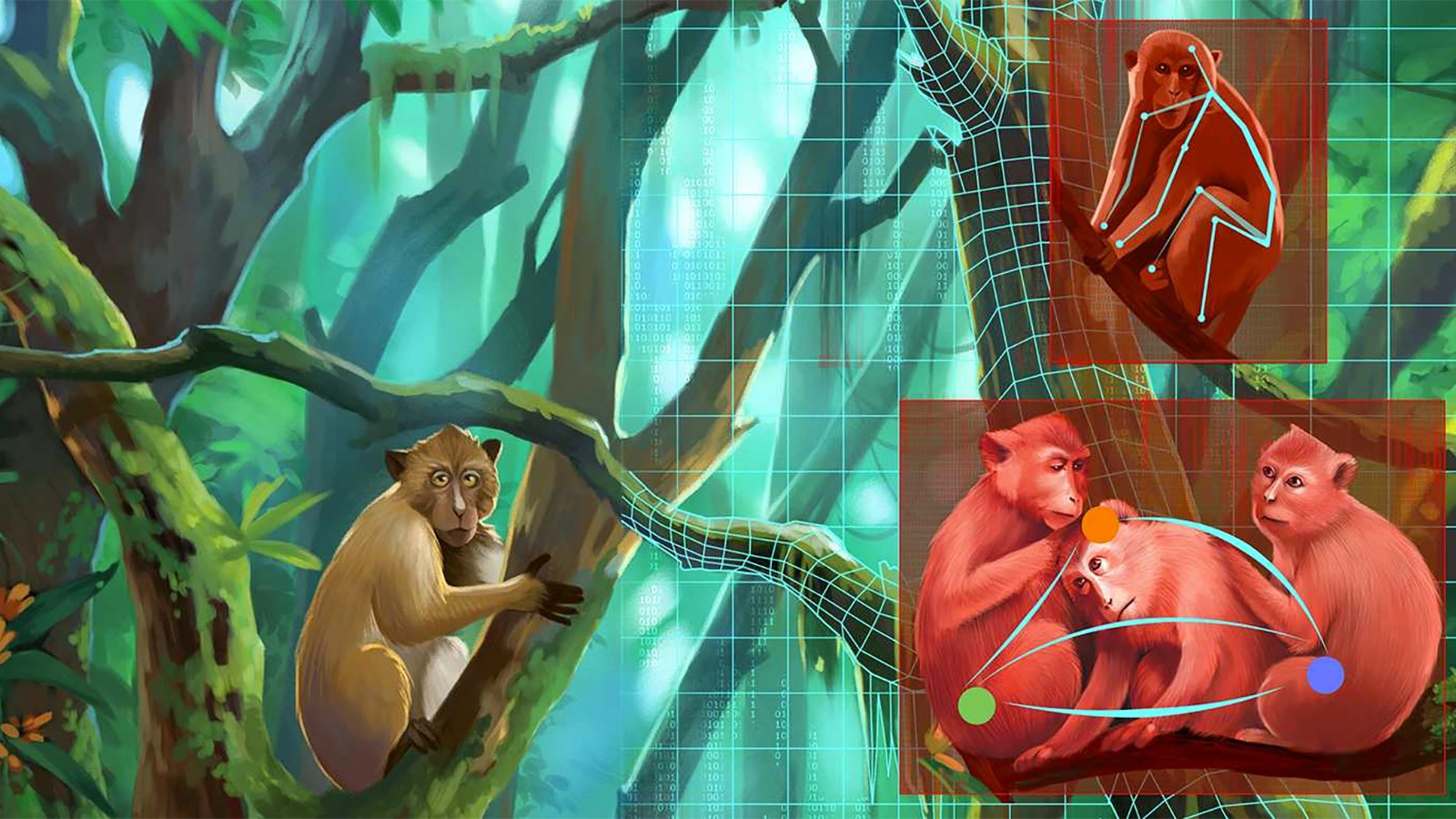 AI can now understand animal behavior