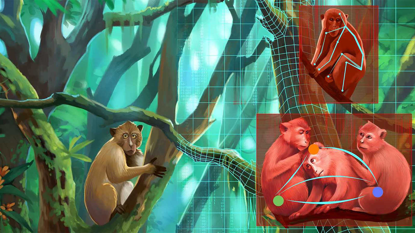 AI can now understand animal behavior