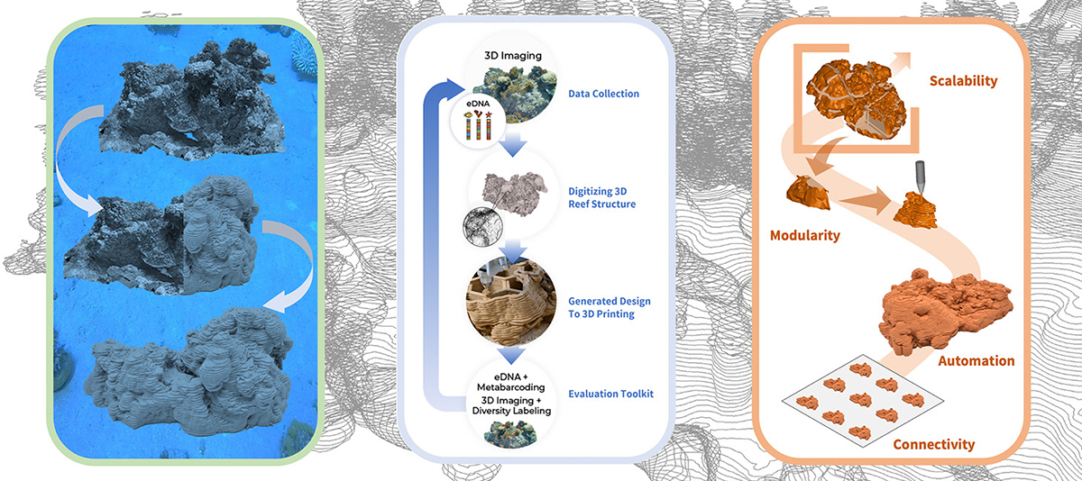 3D-printed artificial coral reefs could save coastal fish