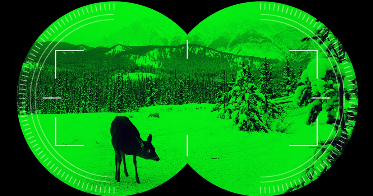 Here's what full-color night vision looks like now