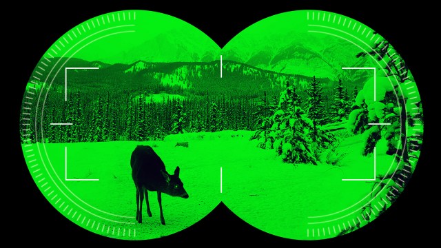 real color night vision
