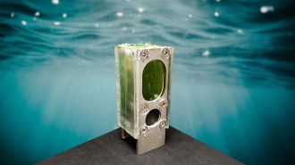Algae-powered computer