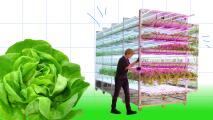 future of agriculture