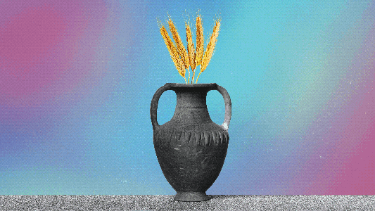gene-edited wheat