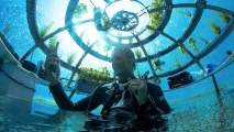 underwater garden