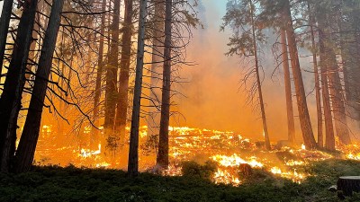 National Park Service / Getty Images