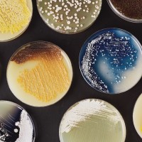 Synthetic biology
