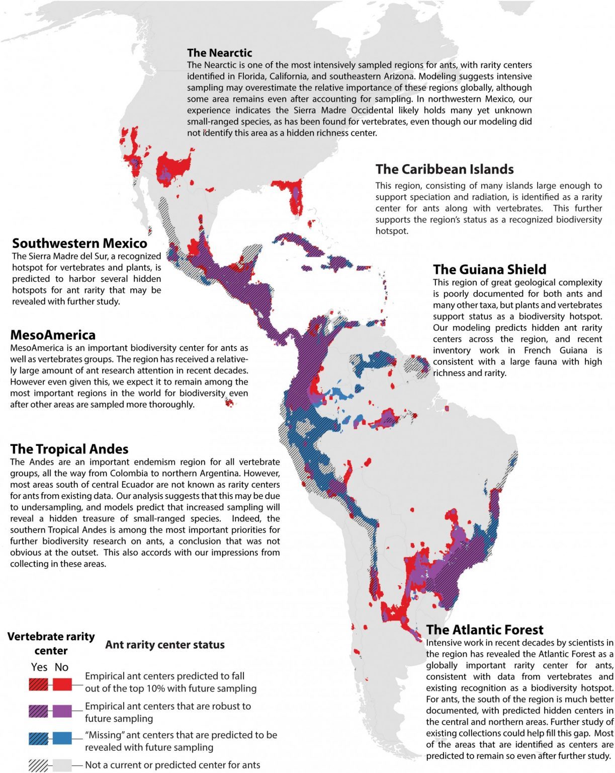 AI has mapped all of the world’s known ant species