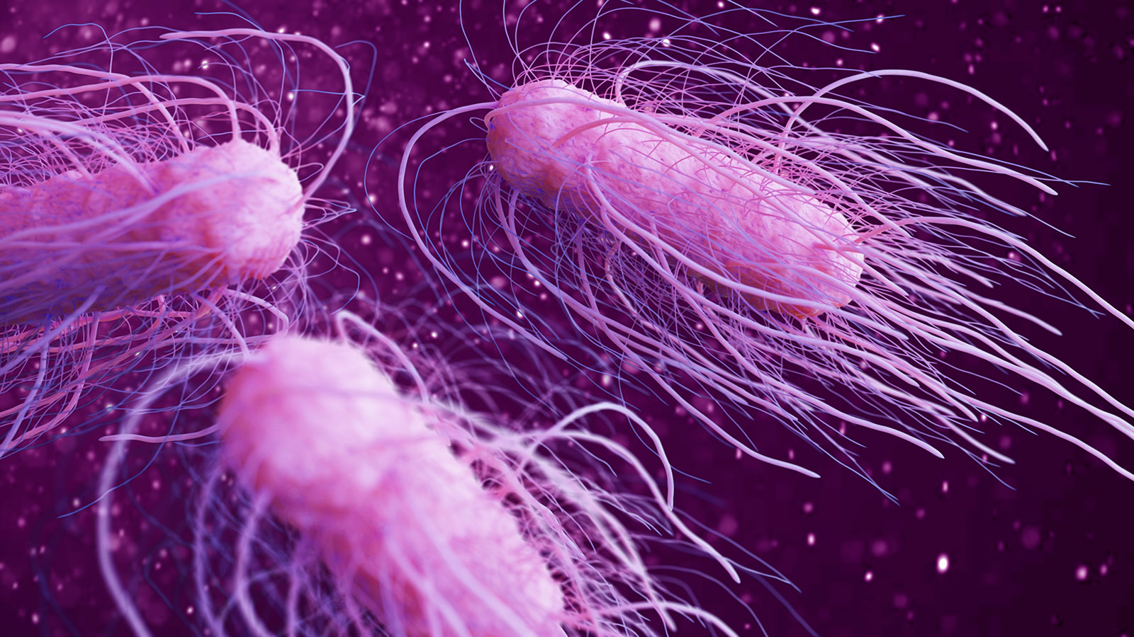 Light pulses can stop dangerous food poisoning like Salmonella